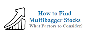 How to Identify Multibagger stocks?